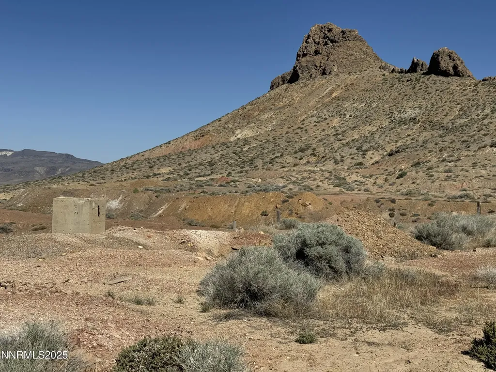 01508012 Coal Canyon Lovelock NV 89419