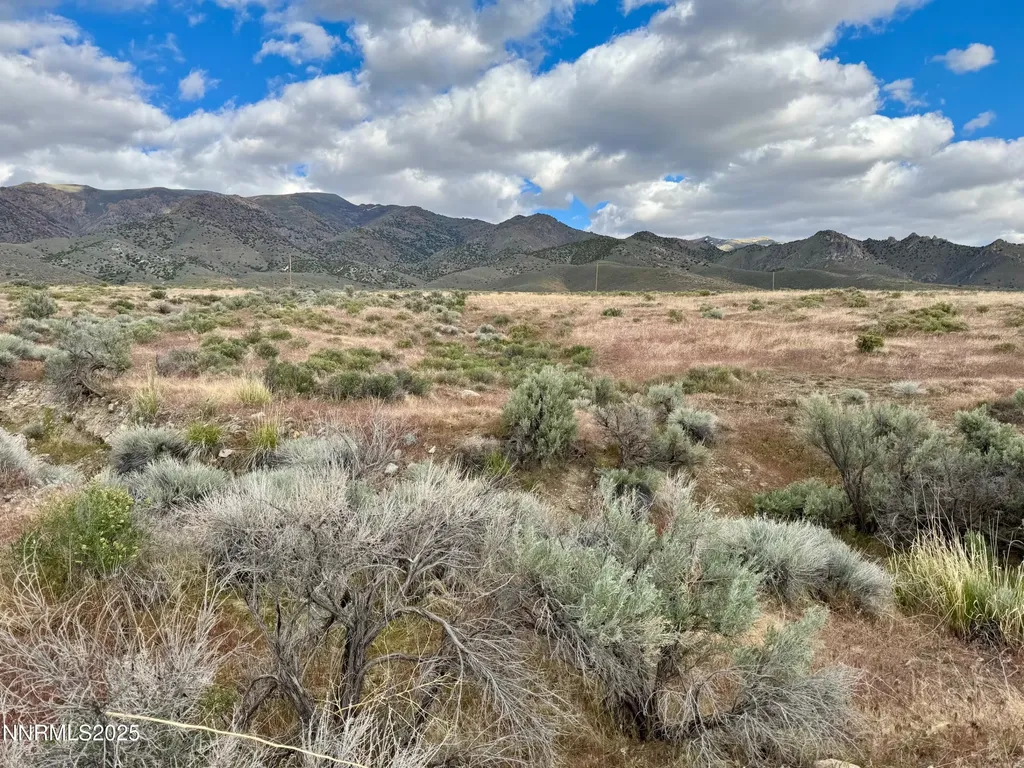 22080 Scout Lovelock NV 89419