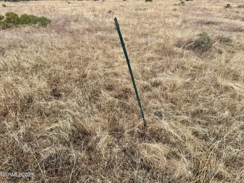 22080 Scout Lovelock NV 89419