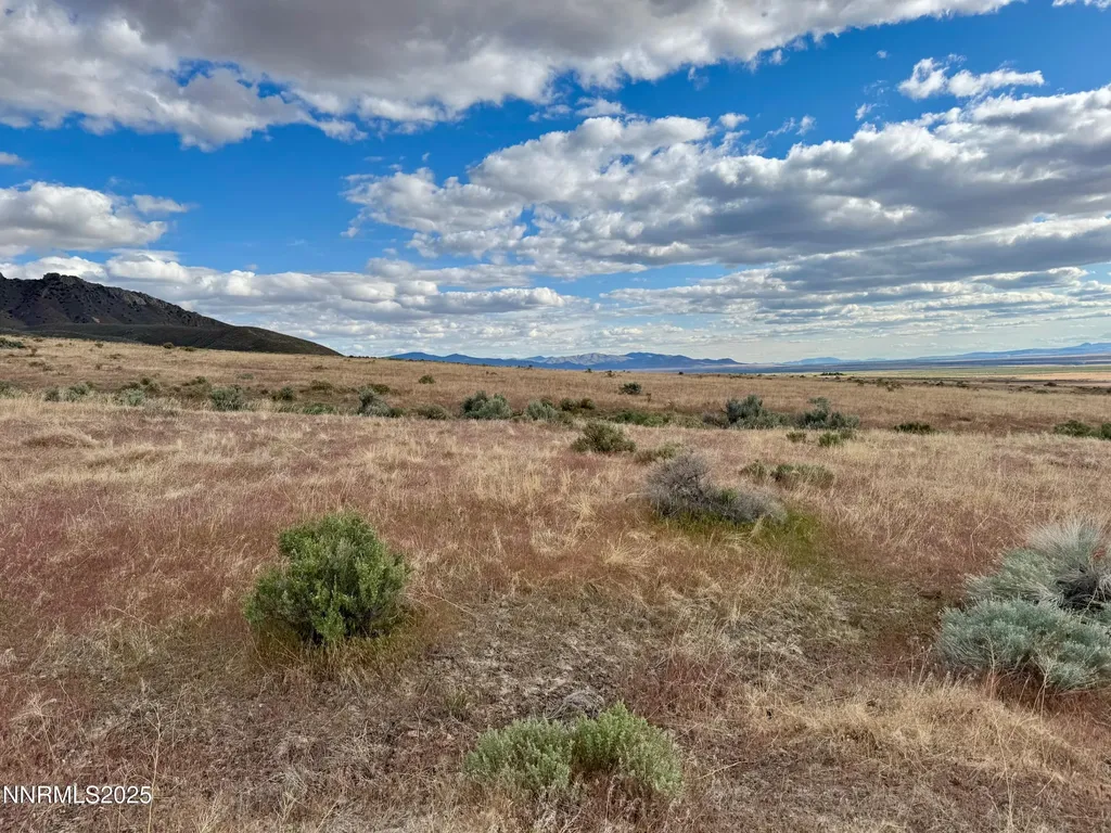 22080 Scout Lovelock NV 89419