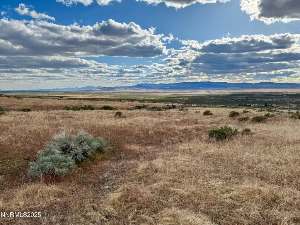22080 Scout Lovelock NV 89419