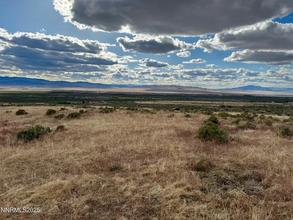 22080 Scout Lovelock NV 89419