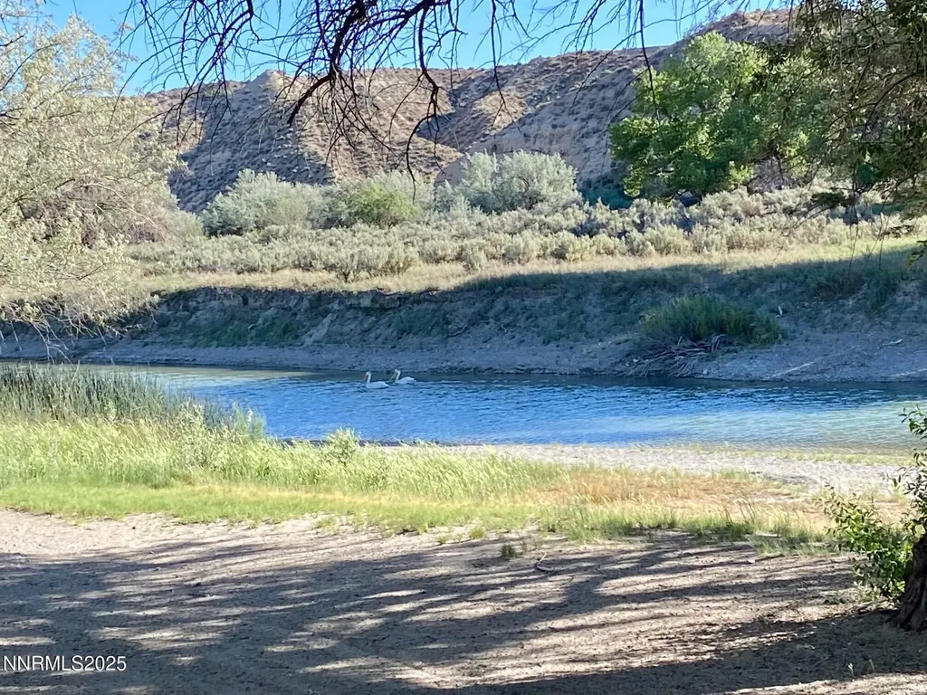 22080 Scout Lovelock NV 89419
