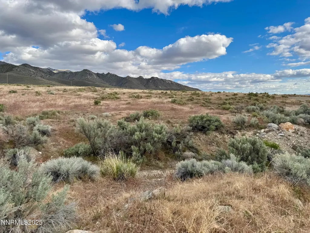 22080 Scout Lovelock NV 89419