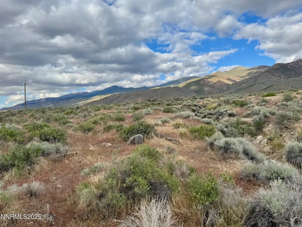22080 Scout Lovelock NV 89419