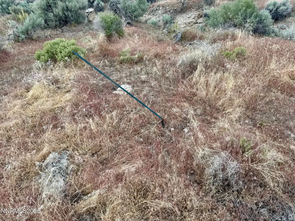22080 Scout Lovelock NV 89419