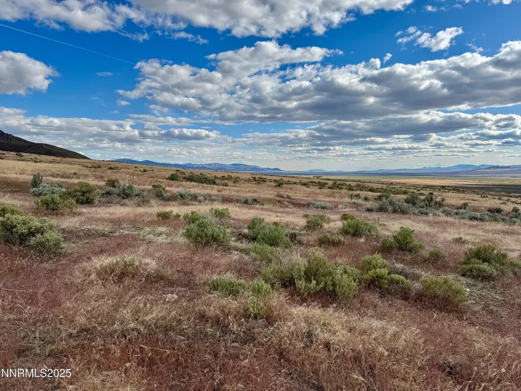 22080 Scout Lovelock NV 89419
