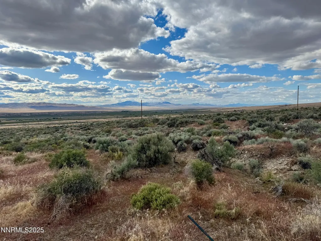 22080 Scout Lovelock NV 89419