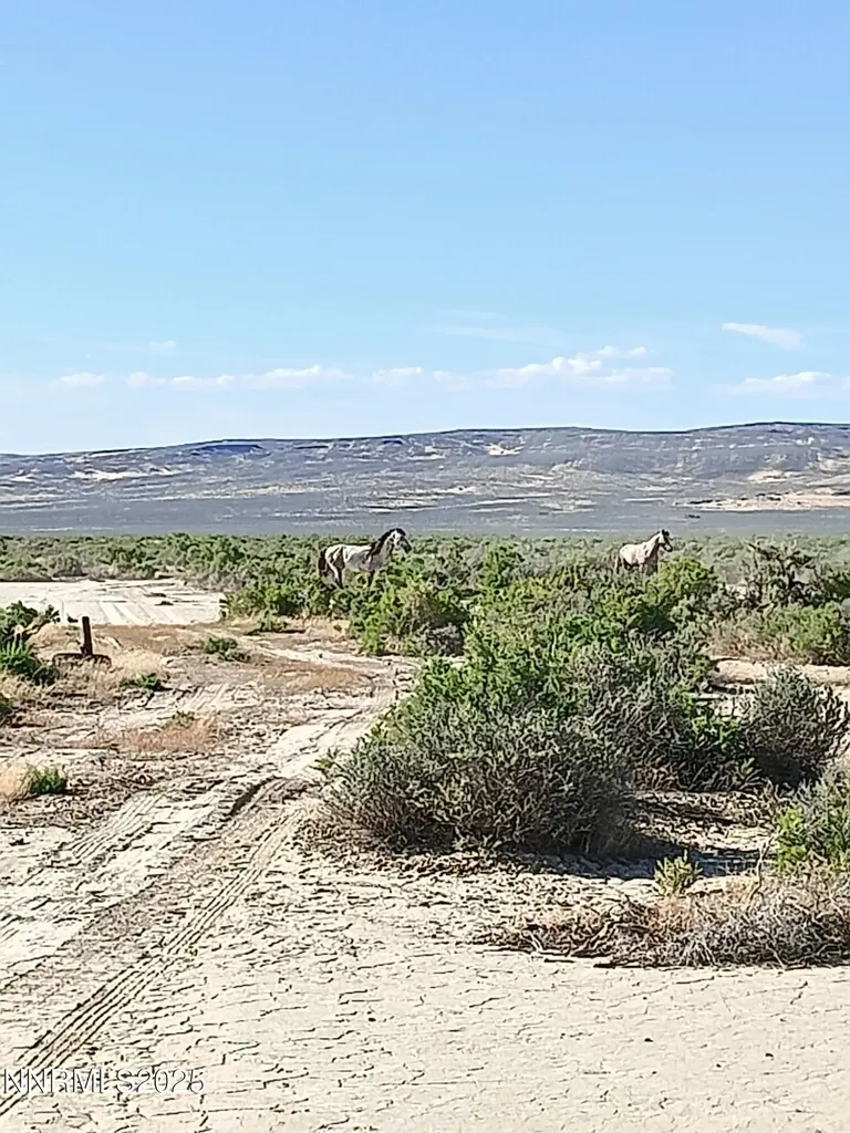 6055 Flanigan Reno NV 89510