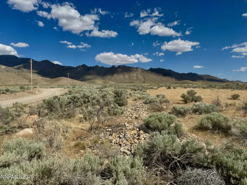 17180 Windsor Lovelock NV 89419