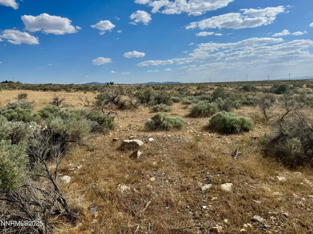 17180 Windsor Lovelock NV 89419