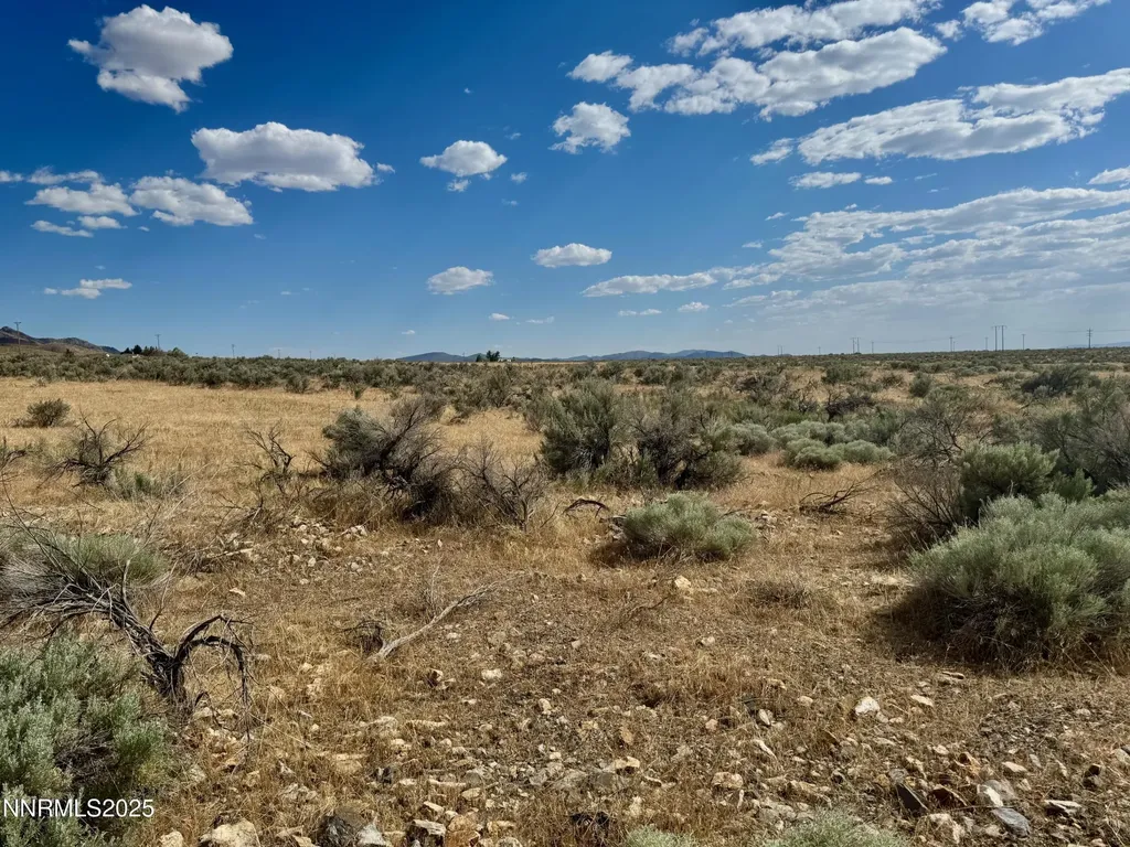 17180 Windsor Lovelock NV 89419