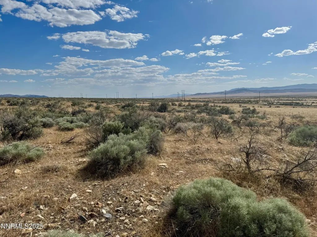 17180 Windsor Lovelock NV 89419