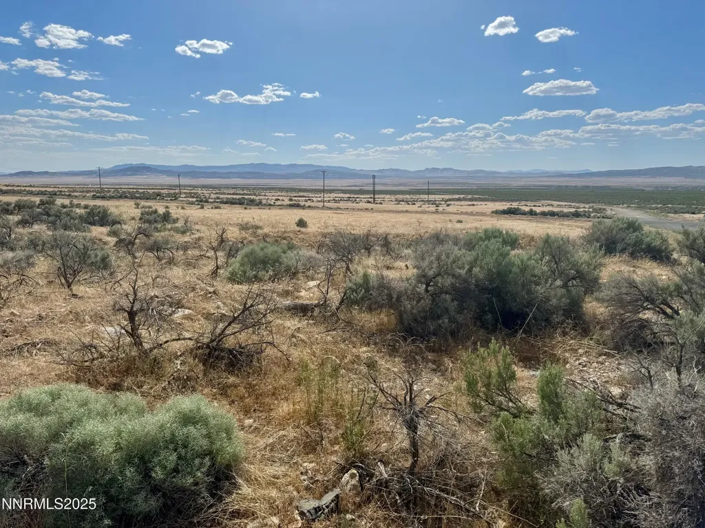 17180 Windsor Lovelock NV 89419