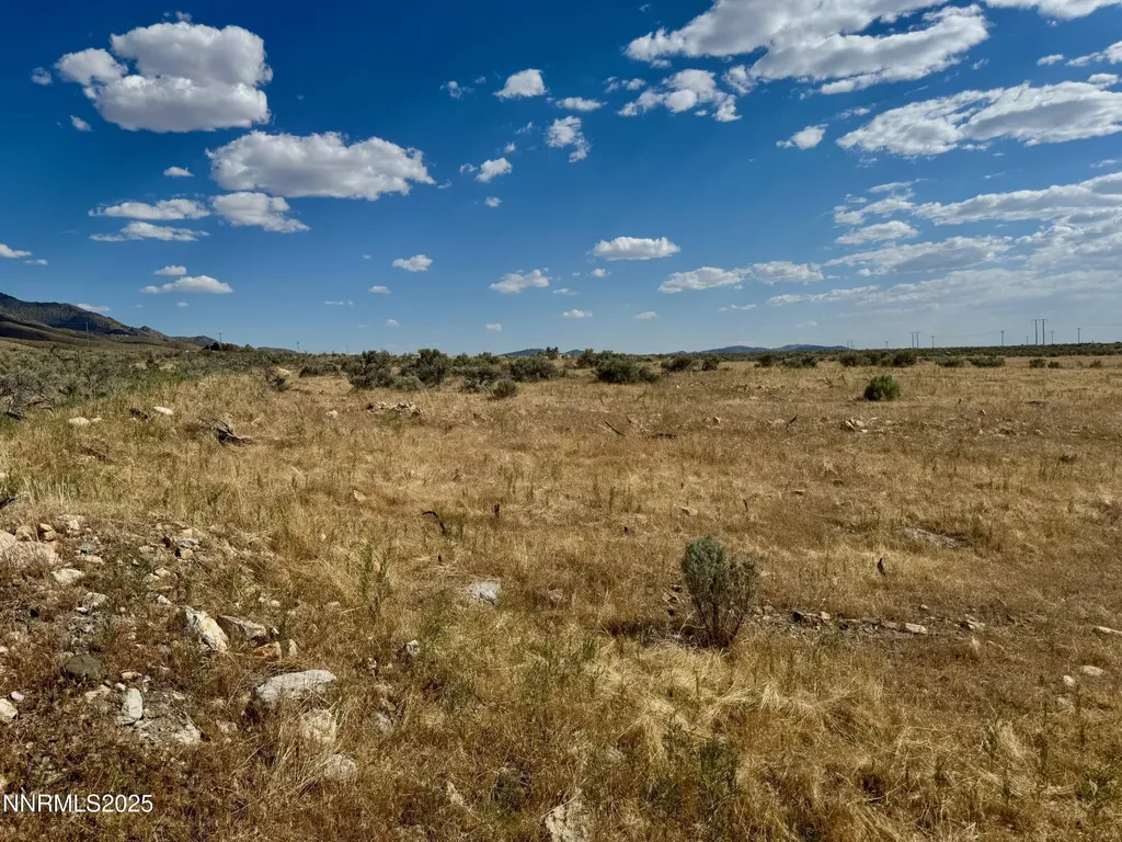 17180 Windsor Lovelock NV 89419