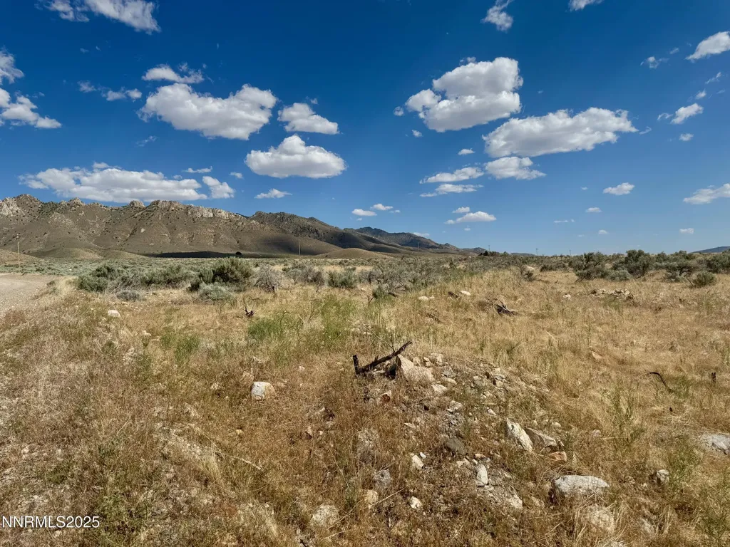 17180 Windsor Lovelock NV 89419