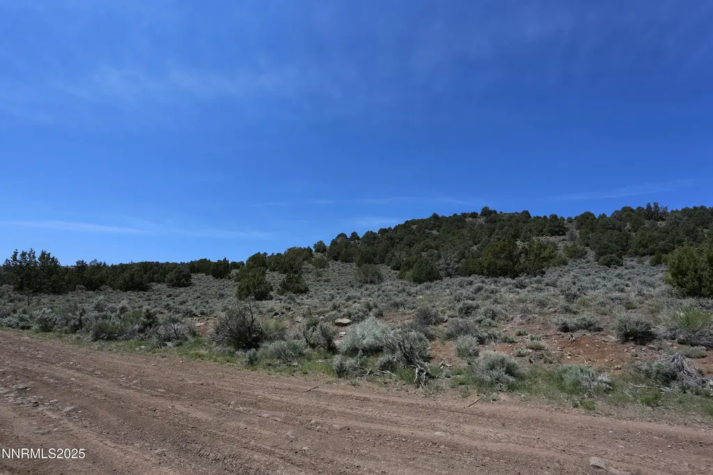 2320 Lousetown Reno NV 89521