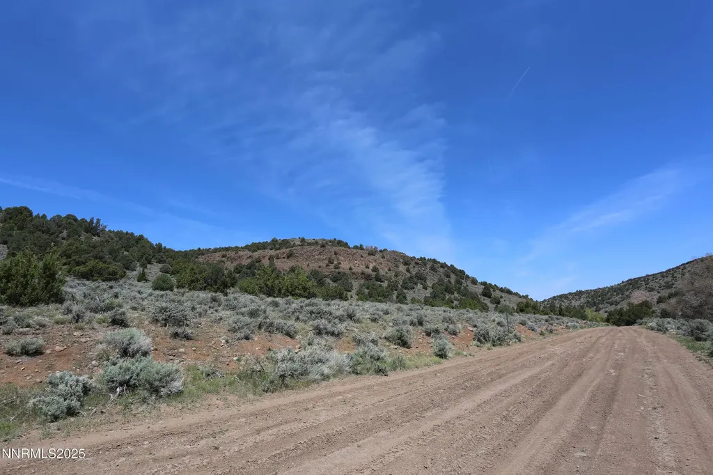 2320 Lousetown Reno NV 89521