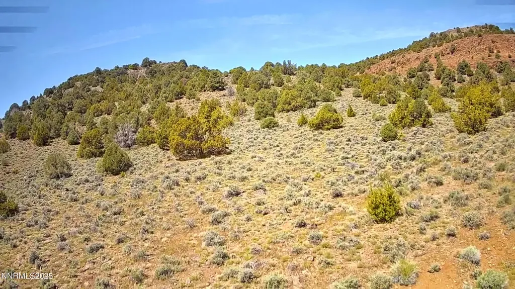 2320 Lousetown Reno NV 89521