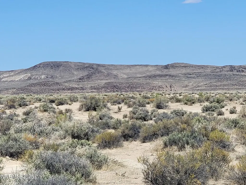 5590 3rd Street Silver Springs NV 89429