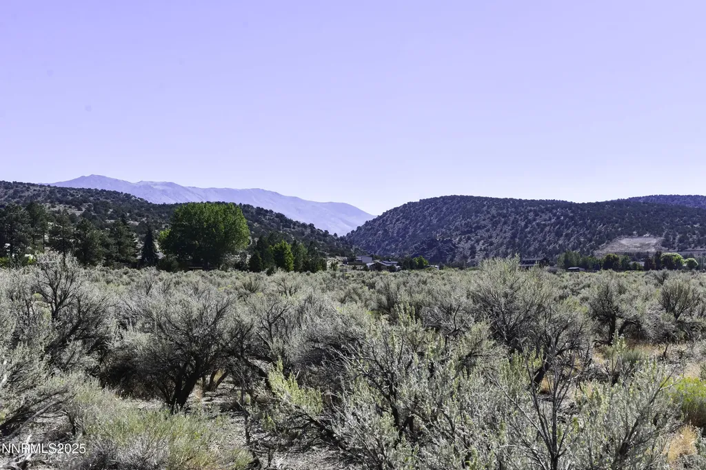 330 Veris Gardnerville NV 89410