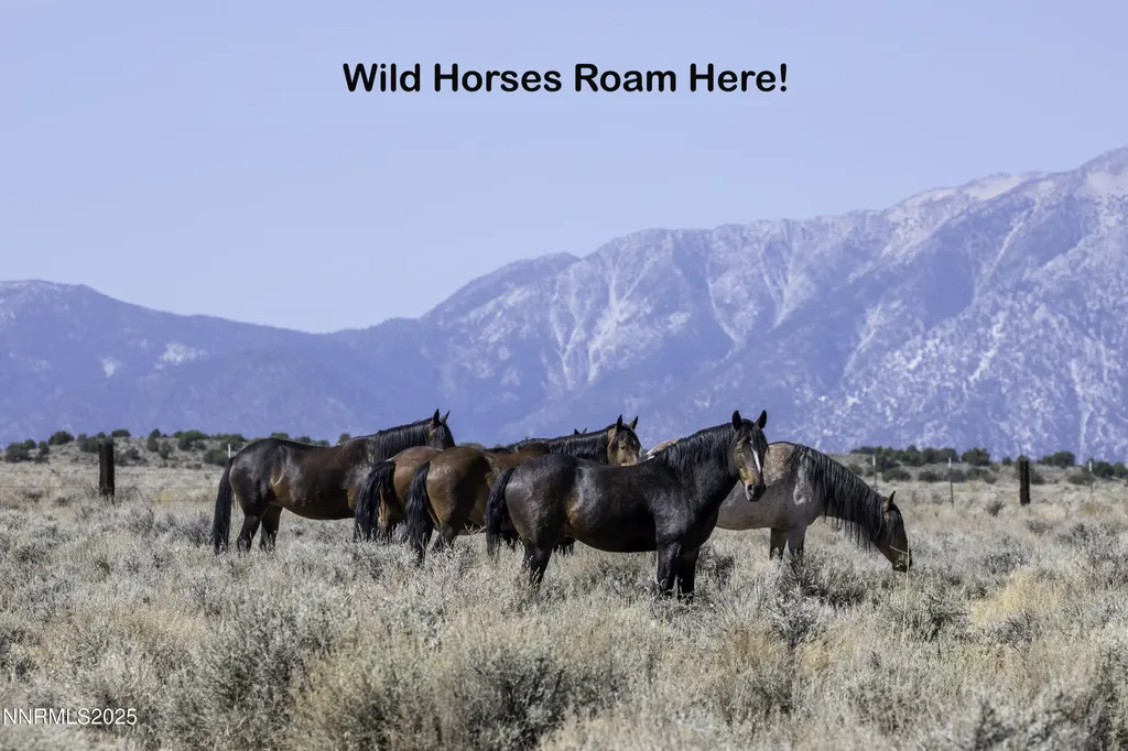 330 Veris Gardnerville NV 89410