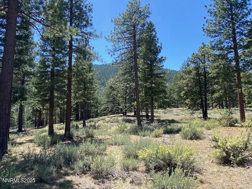 3355 Golf Club Carson City NV 89705