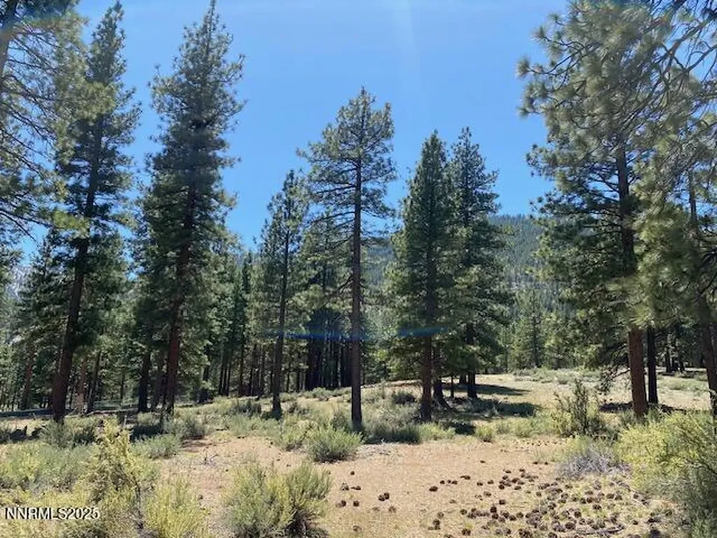3355 Golf Club Carson City NV 89705