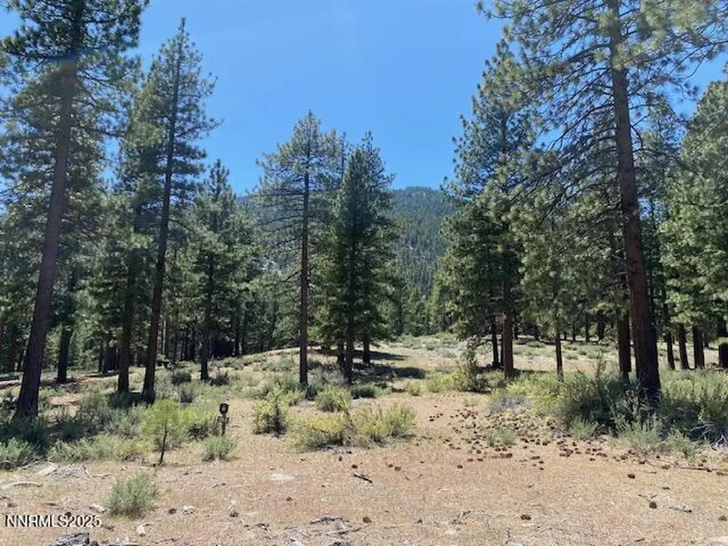 3355 Golf Club Carson City NV 89705