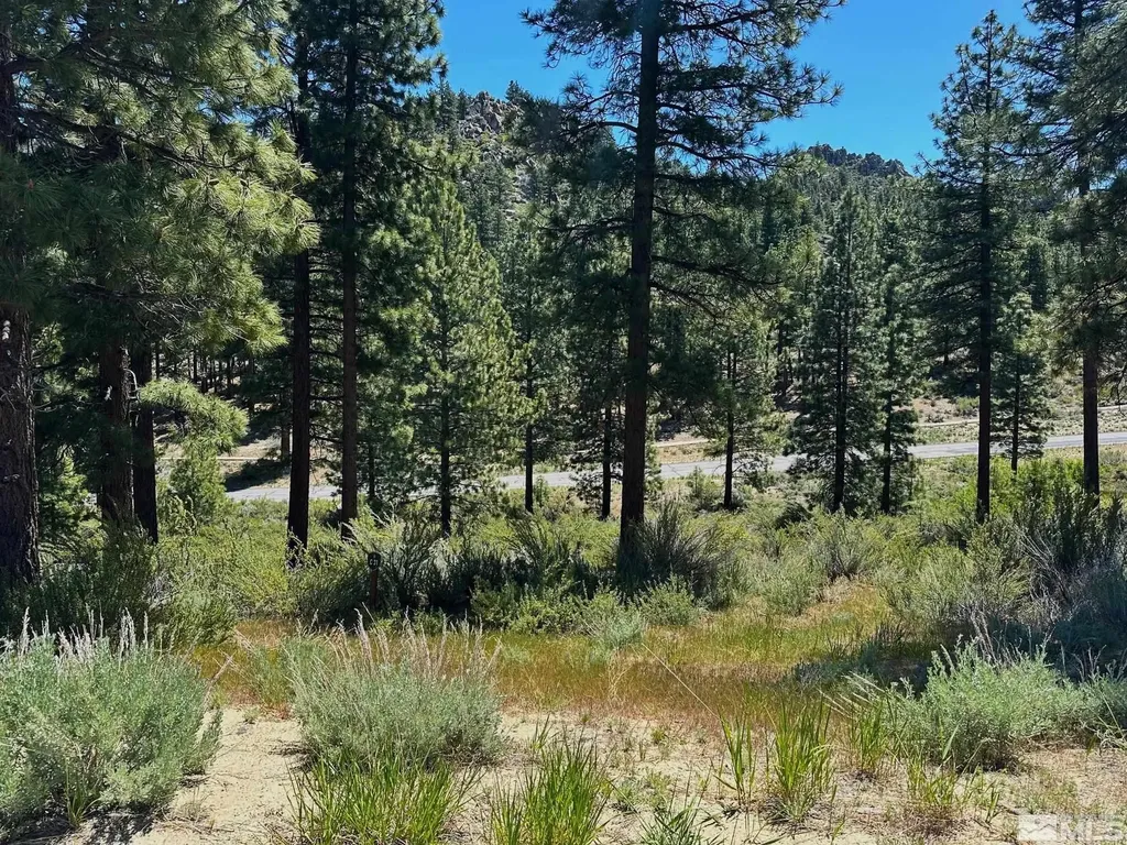 3237 Summit Carson City NV 89705