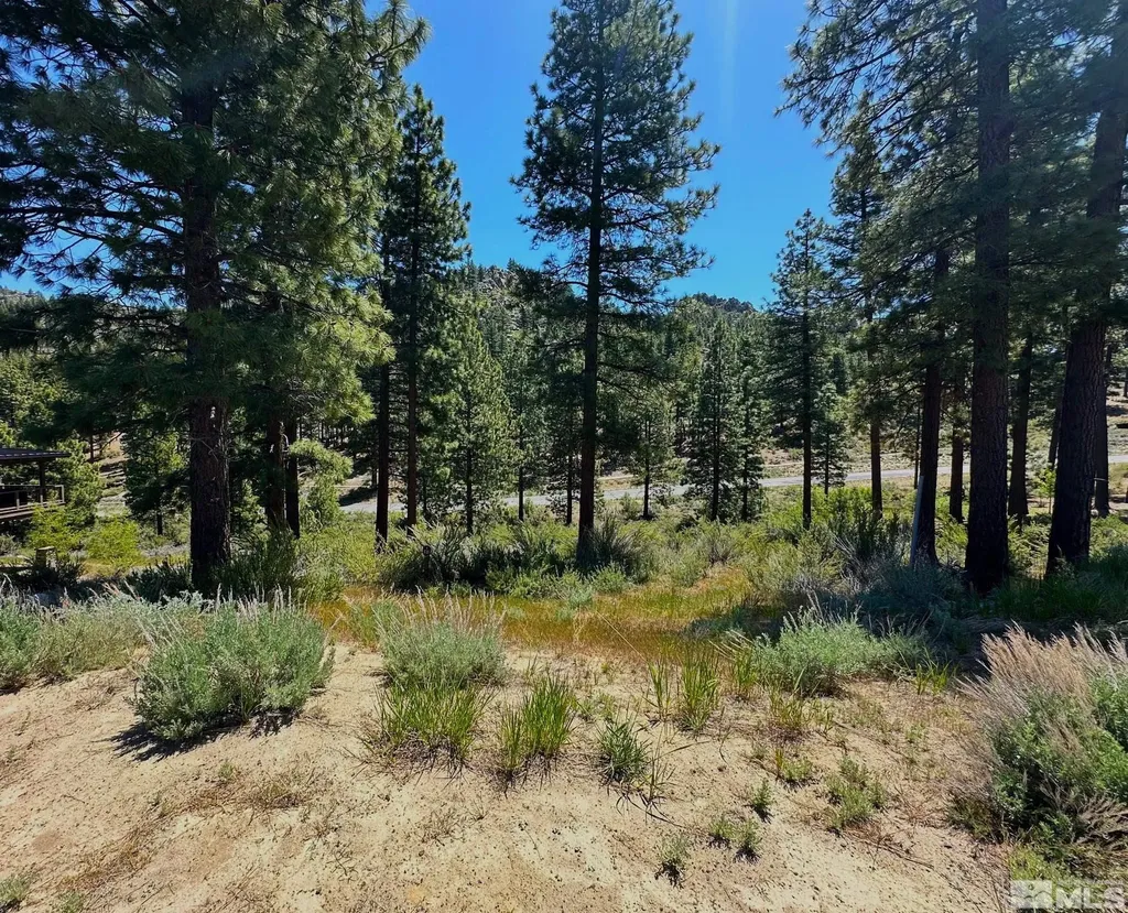 3237 Summit Carson City NV 89705