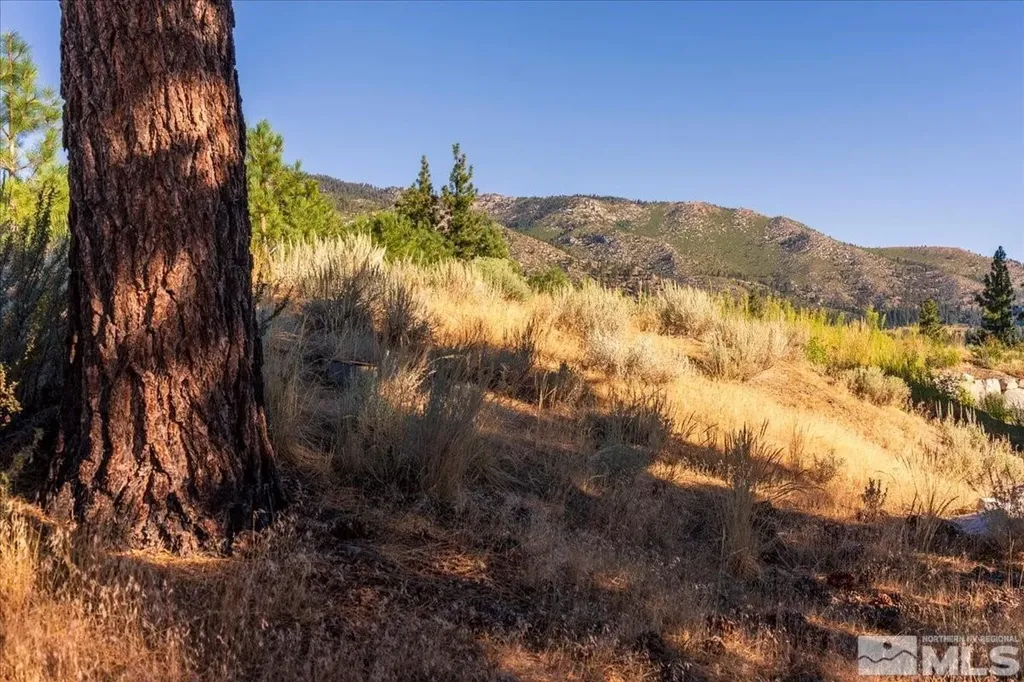 3237 Summit Carson City NV 89705