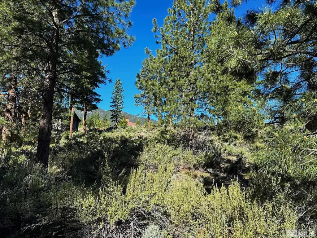 3237 Summit Carson City NV 89705