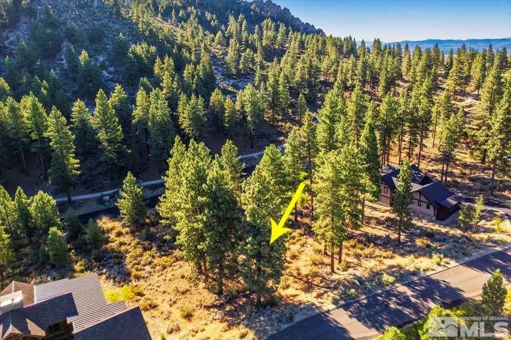 3237 Summit Carson City NV 89705