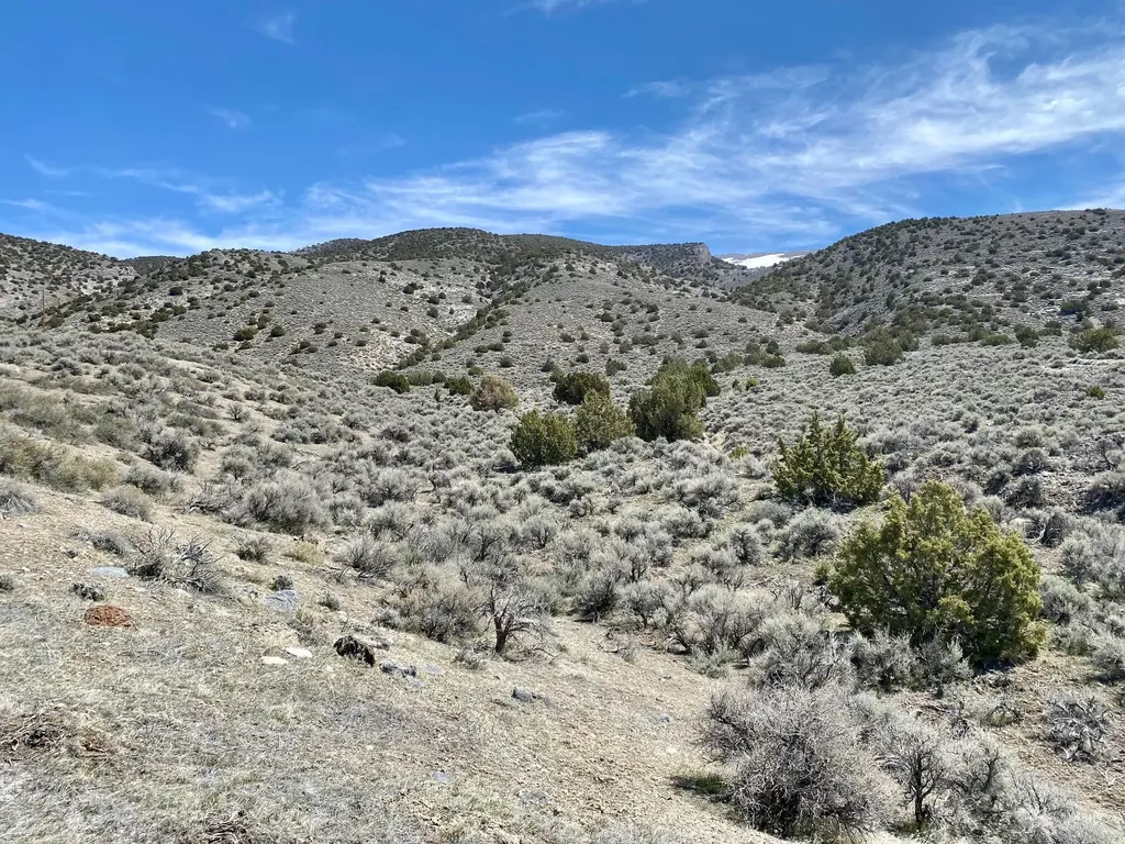 25200 Ramsey Lovelock NV 89419