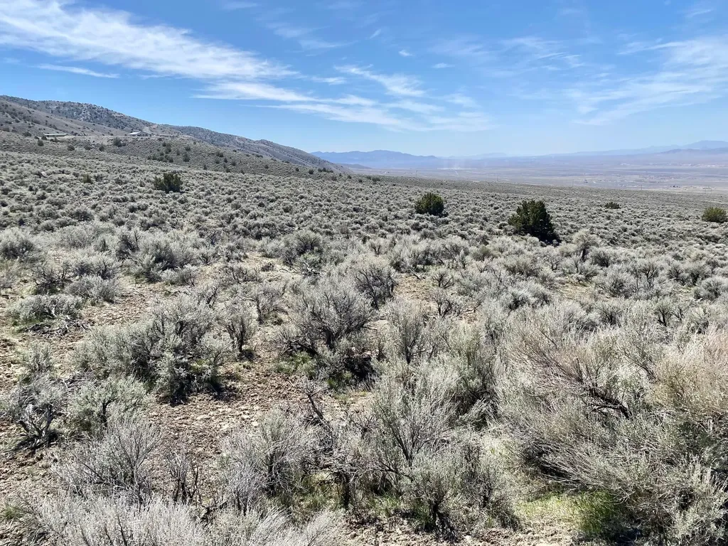 25200 Ramsey Lovelock NV 89419