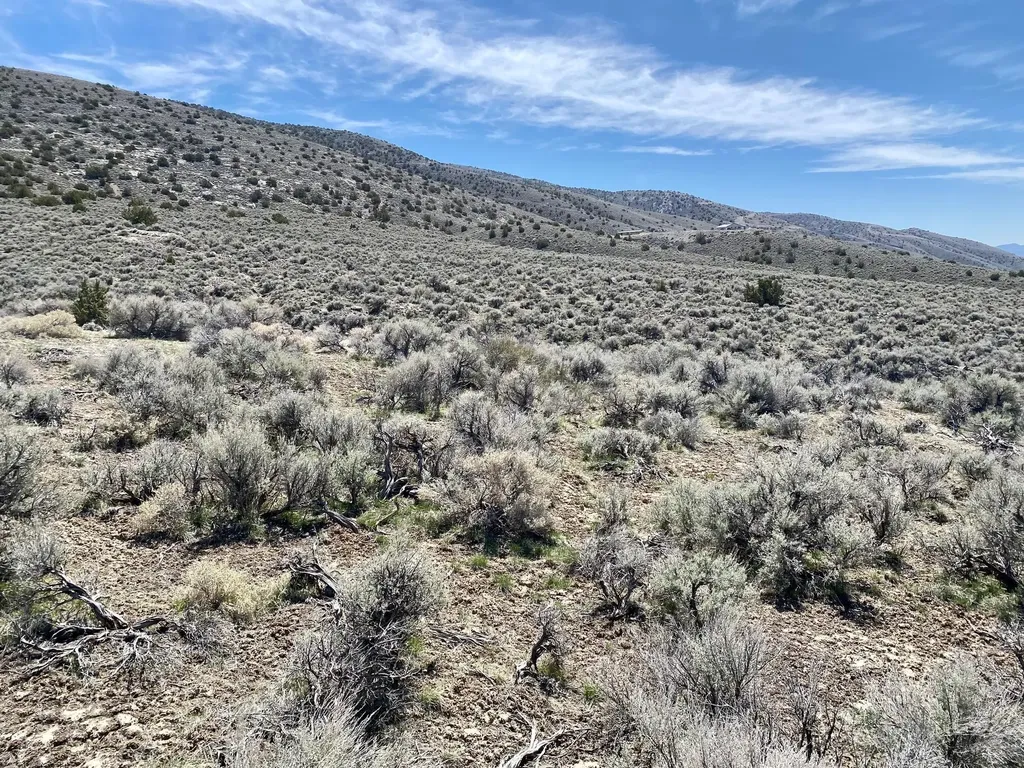 25200 Ramsey Lovelock NV 89419
