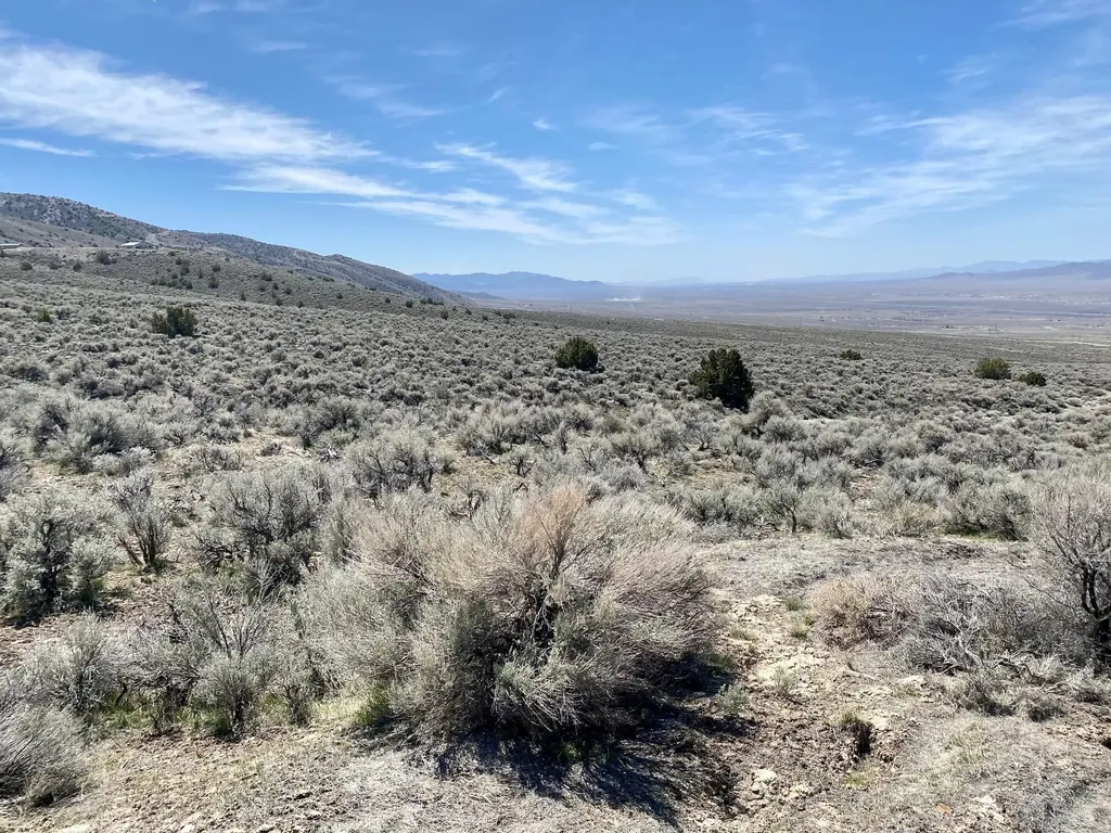 25200 Ramsey Lovelock NV 89419