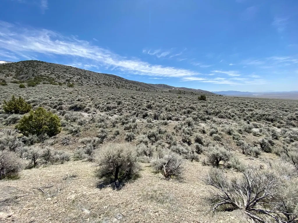 25200 Ramsey Lovelock NV 89419