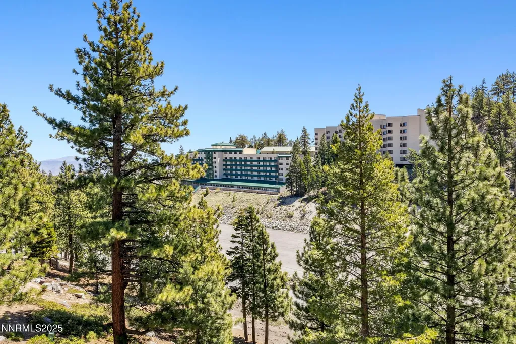 383 Tramway Stateline NV 89449