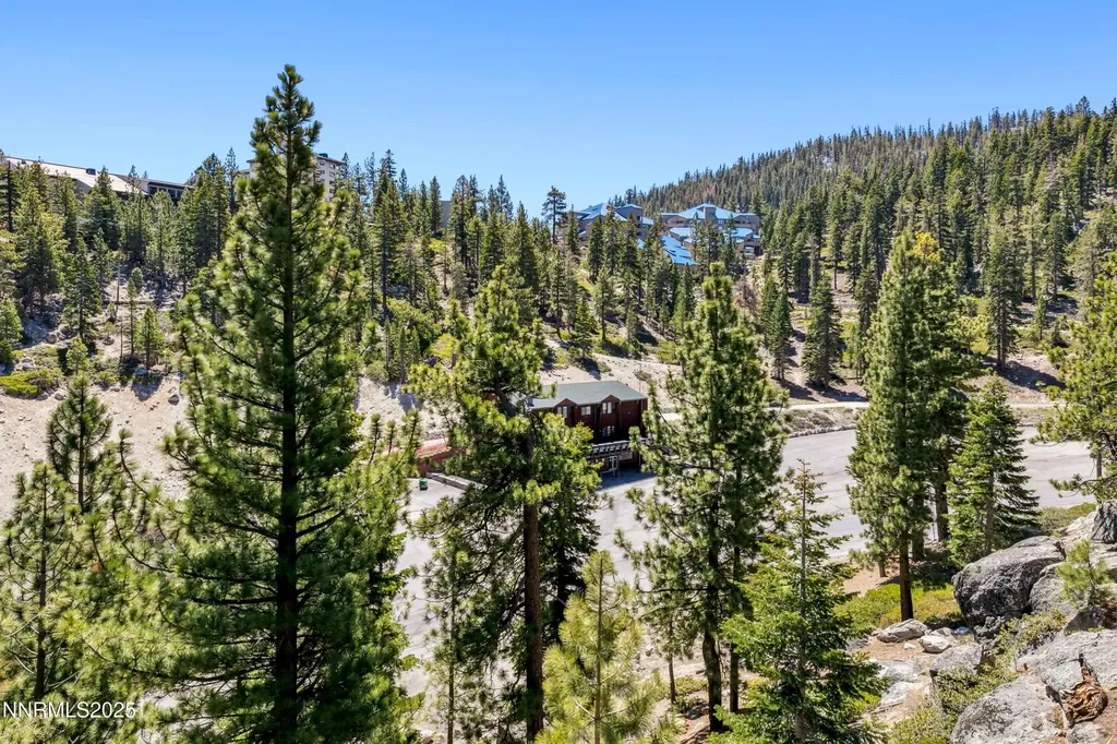 383 Tramway Stateline NV 89449