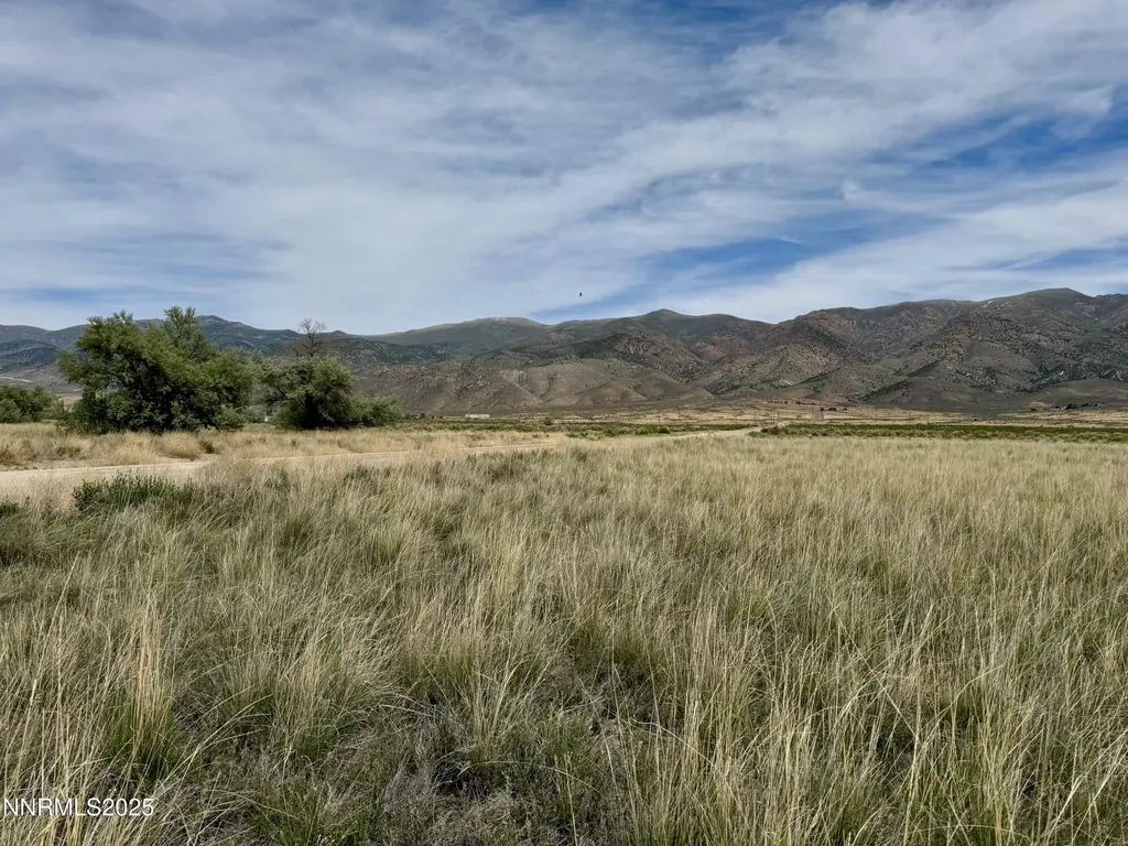 10980 Beaumont Lovelock NV 89419