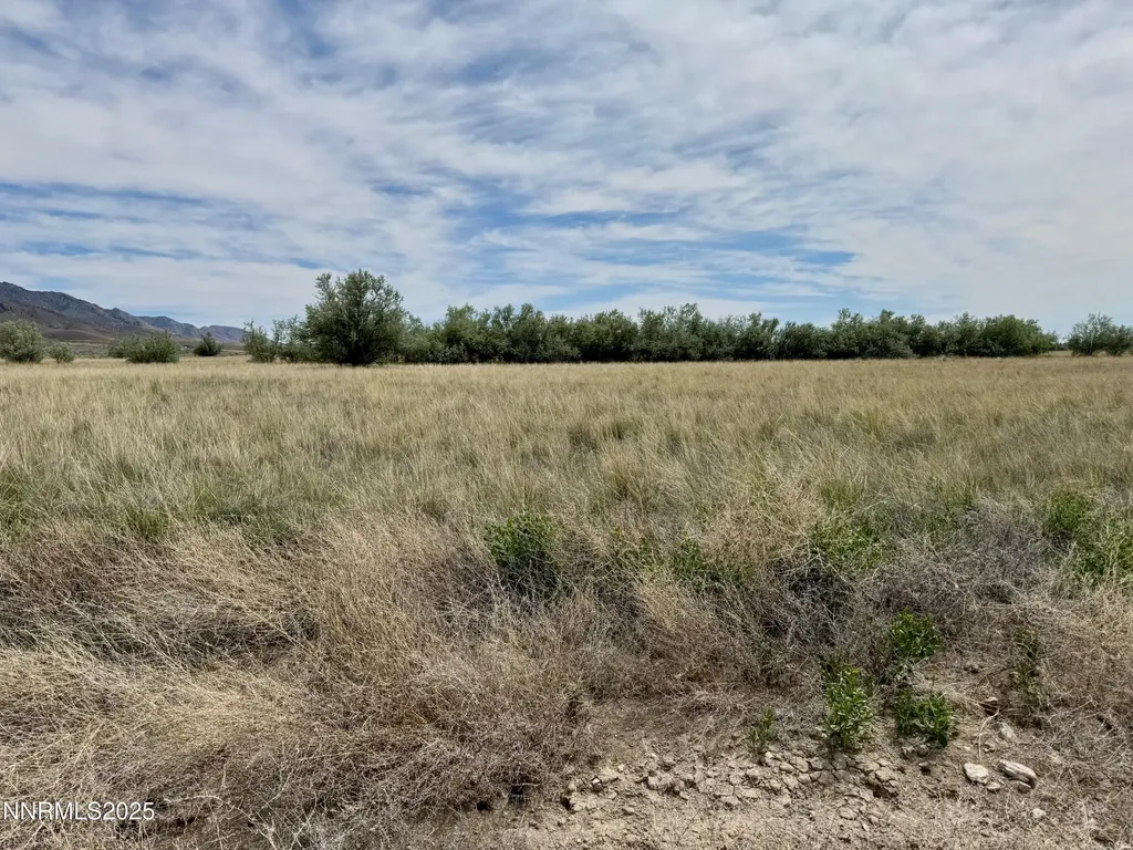10980 Beaumont Lovelock NV 89419