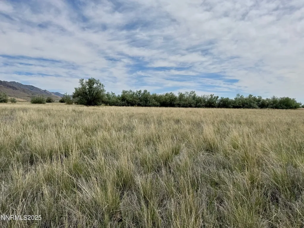 10980 Beaumont Lovelock NV 89419