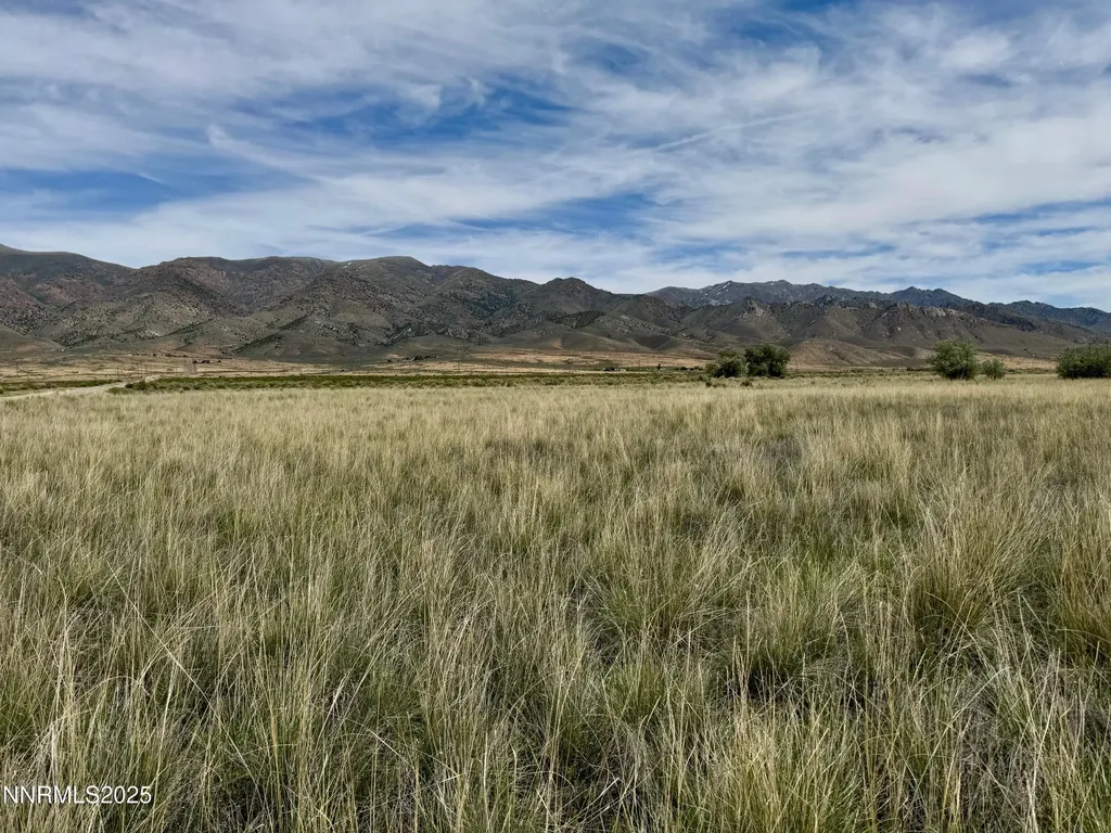 10980 Beaumont Lovelock NV 89419