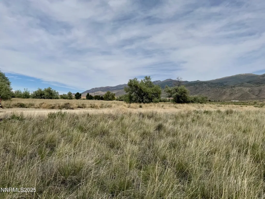 10980 Beaumont Lovelock NV 89419
