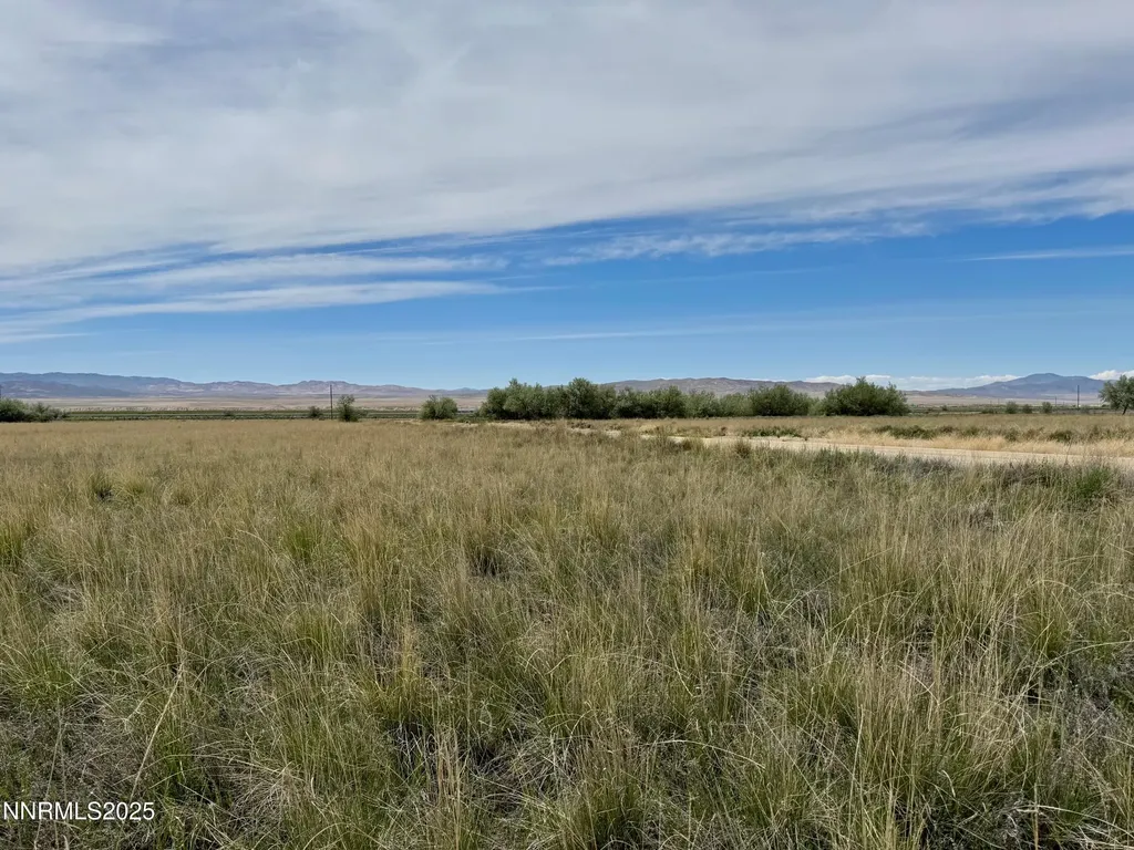 10980 Beaumont Lovelock NV 89419