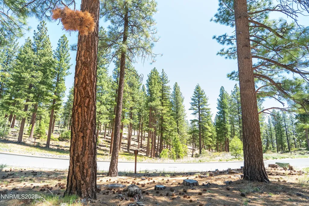46 Boulders Bend Carson City NV 89705