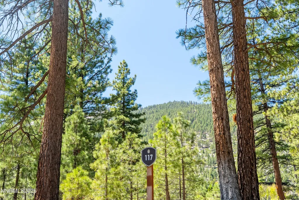 46 Boulders Bend Carson City NV 89705