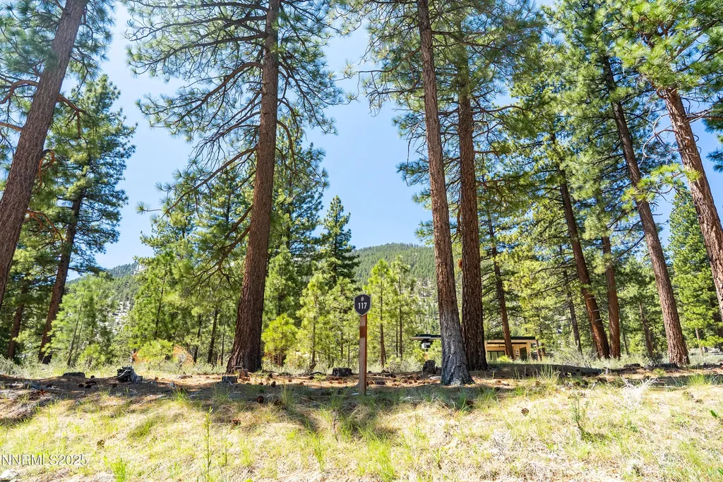 46 Boulders Bend Carson City NV 89705